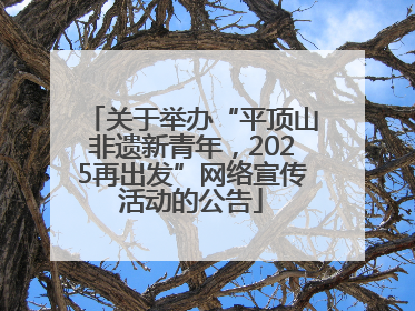 关于举办“平顶山非遗新青年，2025再出发”网络宣传活动的公告
