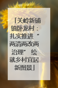 关岭新铺镇卧龙村：扎实推进“两清两改两治理” 绘就乡村宜居新图景