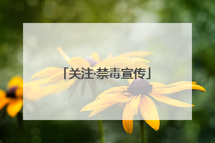关注·禁毒宣传