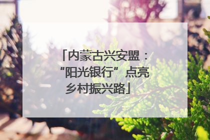 内蒙古兴安盟：“阳光银行”点亮乡村振兴路