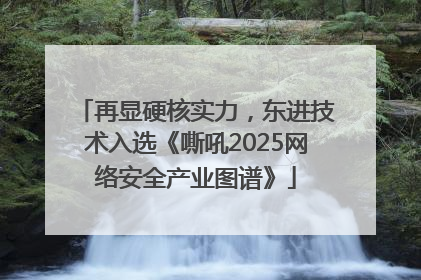 再显硬核实力，东进技术入选《嘶吼2025网络安全产业图谱》