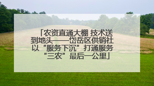 农资直通大棚 技术送到地头——岱岳区供销社以“服务下沉”打通服务“三农”最后一公里