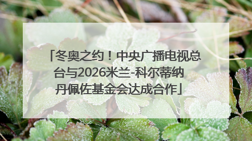 冬奥之约！中央广播电视总台与2026米兰-科尔蒂纳丹佩佐基金会达成合作