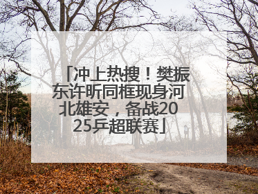 冲上热搜！樊振东许昕同框现身河北雄安，备战2025乒超联赛
