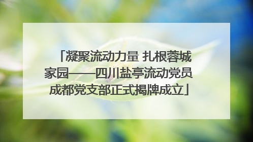 凝聚流动力量 扎根蓉城家园——四川盐亭流动党员成都党支部正式揭牌成立