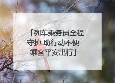 列车乘务员全程守护 助行动不便乘客平安出行