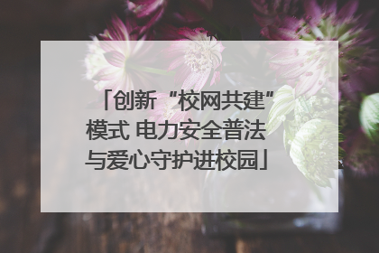 创新“校网共建”模式 电力安全普法与爱心守护进校园