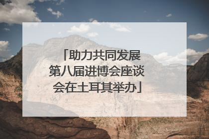 助力共同发展 第八届进博会座谈会在土耳其举办