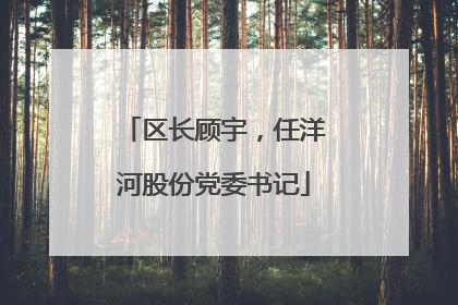 区长顾宇，任洋河股份党委书记