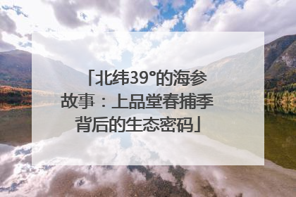 北纬39°的海参故事：上品堂春捕季背后的生态密码