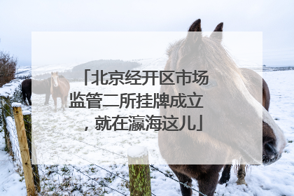 北京经开区市场监管二所挂牌成立，就在瀛海这儿