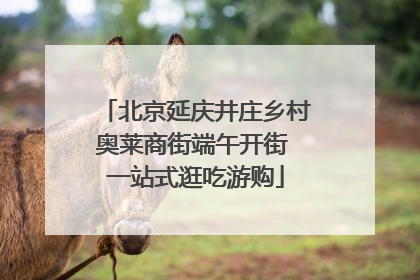 北京延庆井庄乡村奥莱商街端午开街 一站式逛吃游购