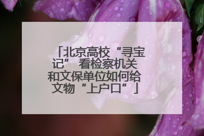北京高校“寻宝记” 看检察机关和文保单位如何给文物“上户口”