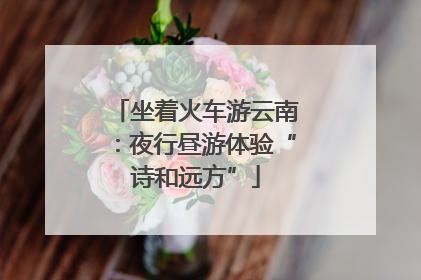 坐着火车游云南：夜行昼游体验“诗和远方”