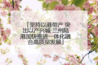 坚持以港带产 突出以产兴城 兰州陆港加快推进一体化融合高质量发展