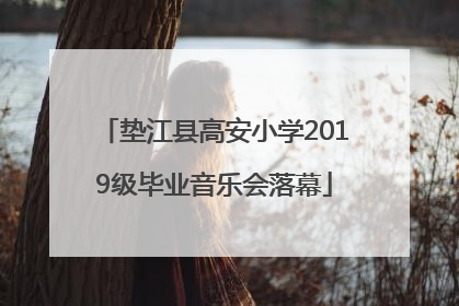 垫江县高安小学2019级毕业音乐会落幕