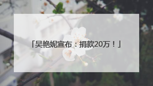 吴艳妮宣布：捐款20万！