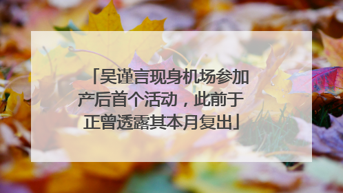 吴谨言现身机场参加产后首个活动，此前于正曾透露其本月复出