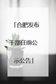 合肥发布干部任前公示公告