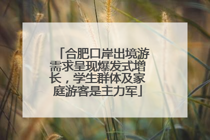 合肥口岸出境游需求呈现爆发式增长，学生群体及家庭游客是主力军