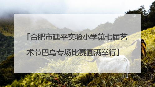 合肥市建平实验小学第七届艺术节巴乌专场比赛圆满举行