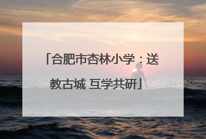 合肥市杏林小学：送教古城 互学共研