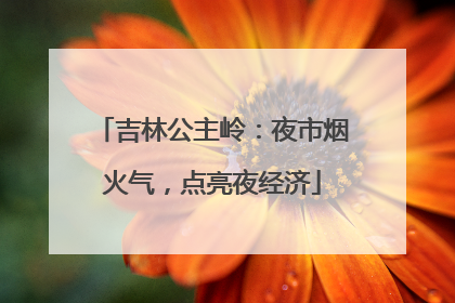 吉林公主岭：夜市烟火气，点亮夜经济