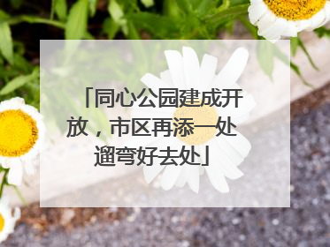 同心公园建成开放，市区再添一处遛弯好去处