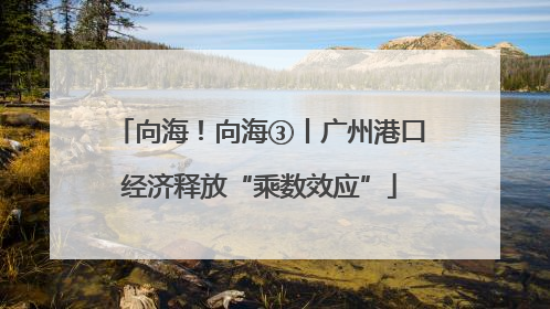向海！向海③丨广州港口经济释放“乘数效应”