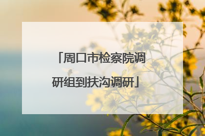周口市检察院调研组到扶沟调研