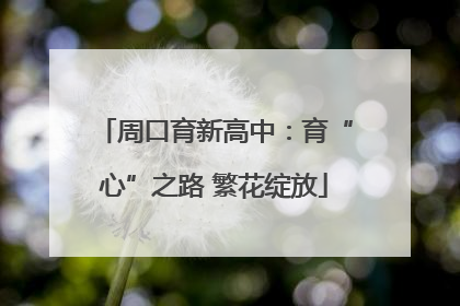 周口育新高中：育“心”之路 繁花绽放