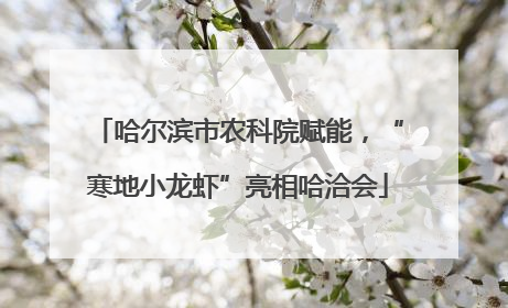 哈尔滨市农科院赋能，“寒地小龙虾”亮相哈洽会