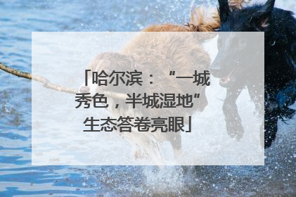哈尔滨：“一城秀色，半城湿地”生态答卷亮眼
