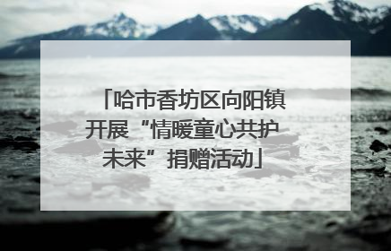 哈市香坊区向阳镇开展“情暖童心共护未来”捐赠活动