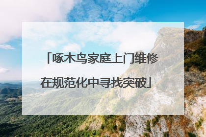 啄木鸟家庭上门维修在规范化中寻找突破