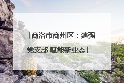 商洛市商州区：建强党支部 赋能新业态