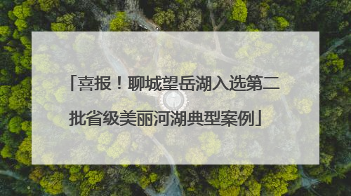 喜报！聊城望岳湖入选第二批省级美丽河湖典型案例