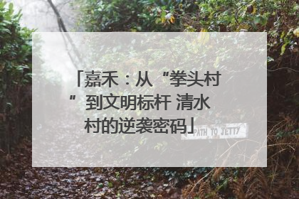 嘉禾：从“拳头村”到文明标杆 清水村的逆袭密码