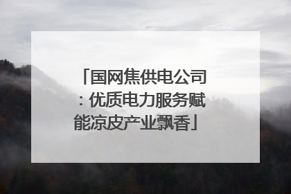 国网焦供电公司：优质电力服务赋能凉皮产业飘香