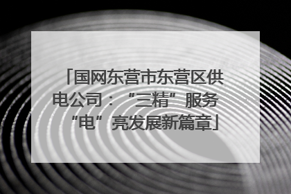 国网东营市东营区供电公司：“三精”服务“电”亮发展新篇章