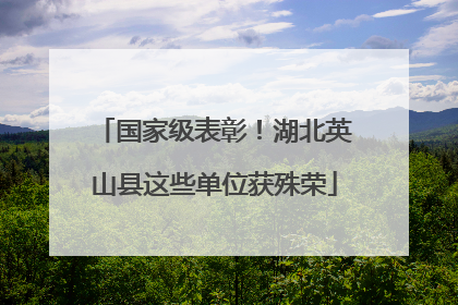 国家级表彰！湖北英山县这些单位获殊荣