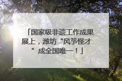 国家级非遗工作成果展上，潍坊“风筝怪才”成全国唯一！