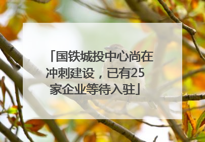 国铁城投中心尚在冲刺建设，已有25家企业等待入驻