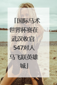 国际马术世界杯赛在武汉收官 547对人马飞跃英雄城