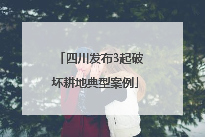 四川发布3起破坏耕地典型案例