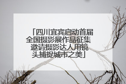四川宜宾启动首届全国摄影展作品征集 邀请摄影达人用镜头捕捉城市之美