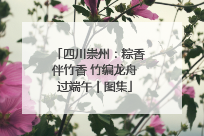 四川崇州：粽香伴竹香 竹编龙舟过端午｜图集
