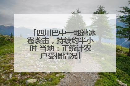 四川巴中一地遭冰雹袭击，持续约半小时 当地：正统计农户受损情况