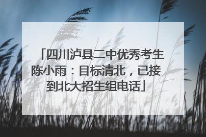 四川泸县二中优秀考生陈小雨：目标清北，已接到北大招生组电话