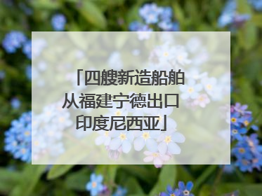 四艘新造船舶从福建宁德出口印度尼西亚